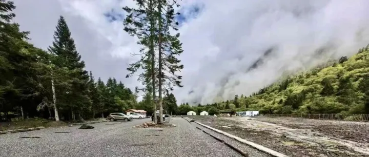 “理小路”公共服务建设项目提前完工