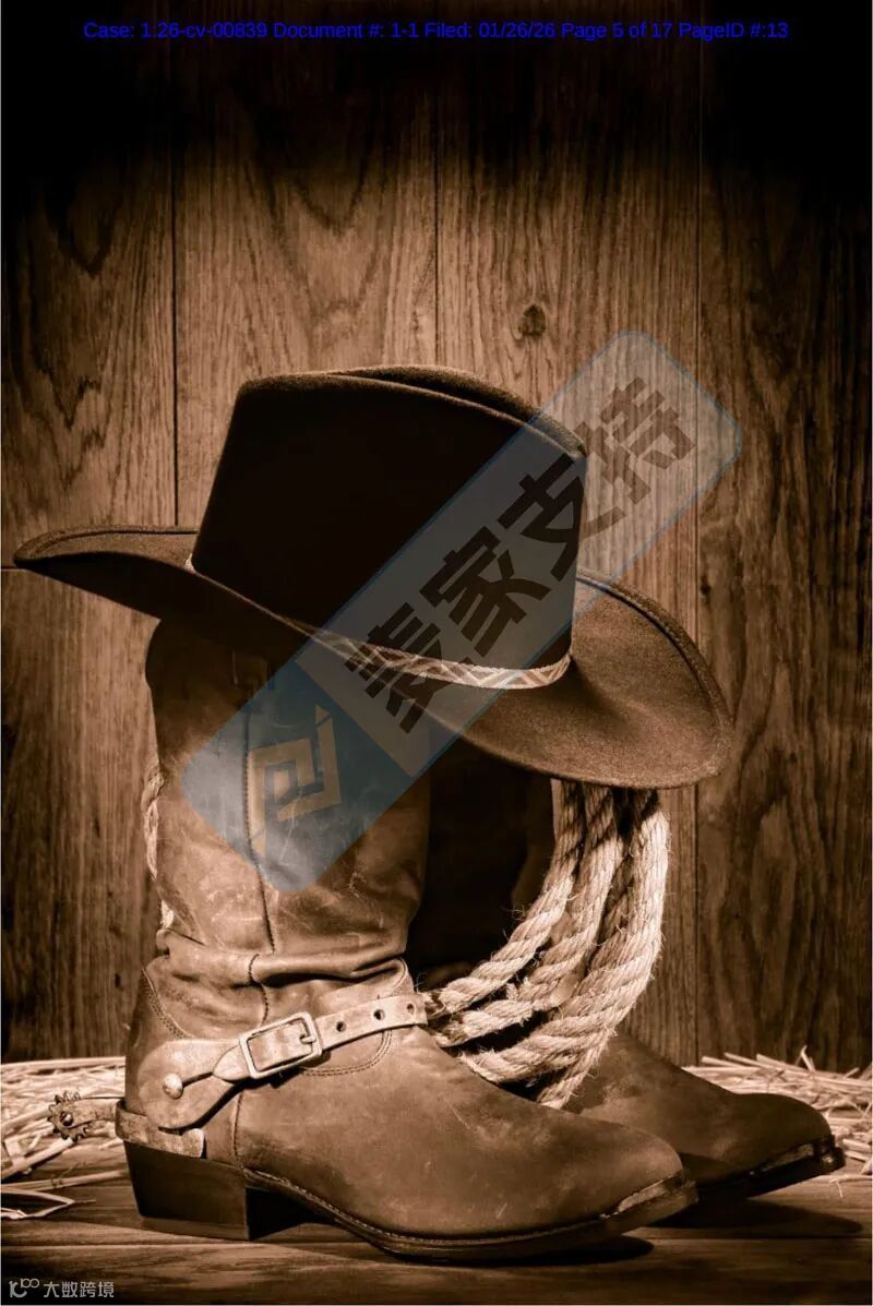 6-cv-00839，200个跨境卖家精准踩中西部牛仔靴帽维权坑"