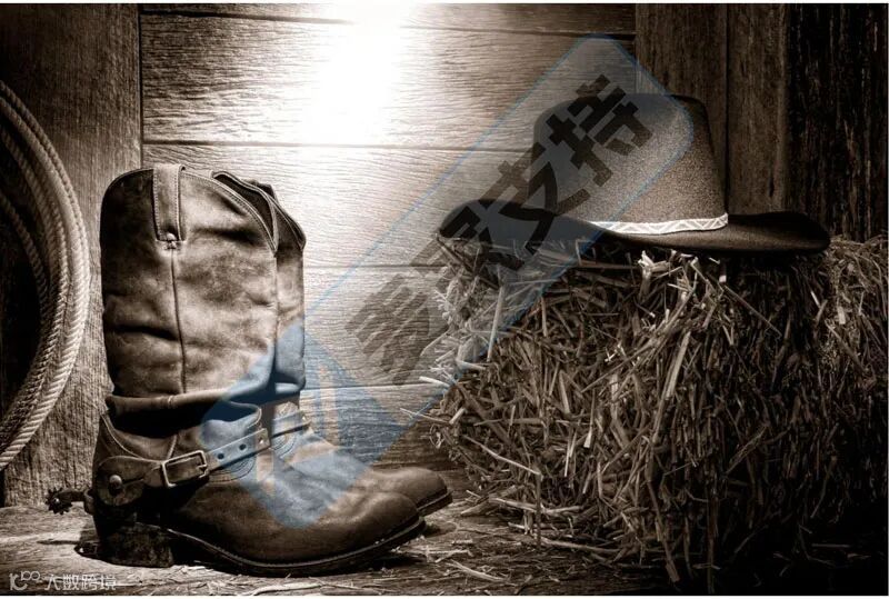 6-cv-00839，200个跨境卖家精准踩中西部牛仔靴帽维权坑"