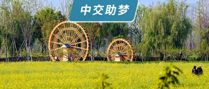 中交教育幫扶結(jié)碩果，<em>怒江</em>學(xué)子閃耀世界機器人大賽