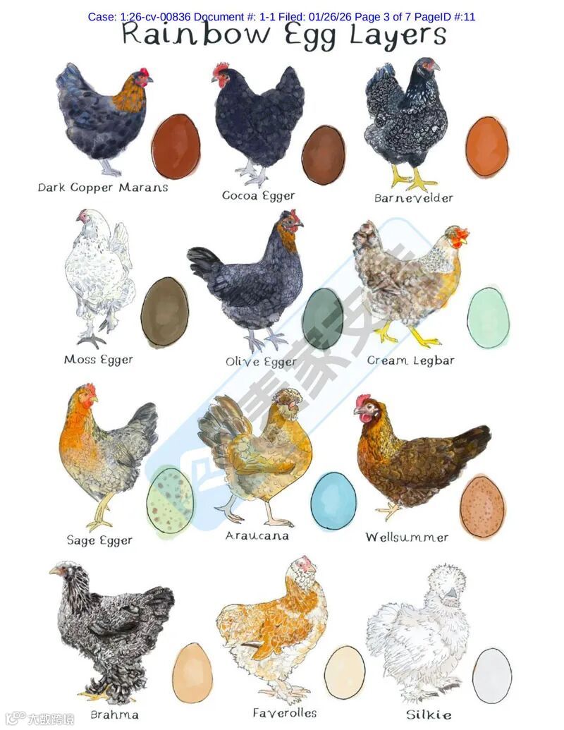 6-cv-00836,Keith律所已立案！113家店铺涉母鸡版权维权案！"