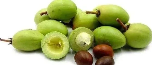 清关不踩坑！乳木果油该如何清关？