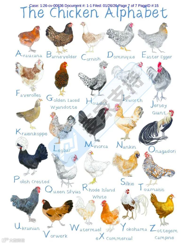 6-cv-00836,Keith律所已立案！113家店铺涉母鸡版权维权案！"