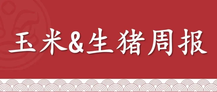 【周报|玉米&生猪】玉米短期上行空间有限，生猪震荡运行（2026年1月23日当周）
