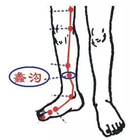 每日一穴 | 蠡沟穴：小腹痛、腰背拘急不可俯仰、胫部酸痛- 大数跨境