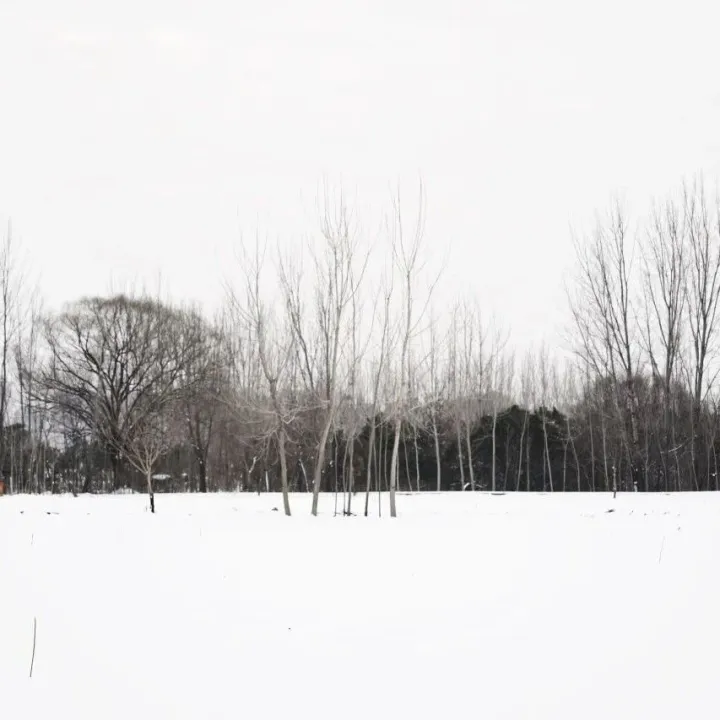 【职工文苑】2026的第一场大雪