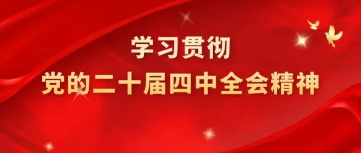 转载自政协联线：学习贯彻党的二十届四中全会精神·委员谈⑨丨王延华：让低空经济飞“稳”飞“好”