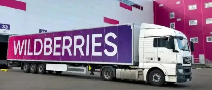 跨境电商Eason: Wildberries（野莓）平台全面介绍