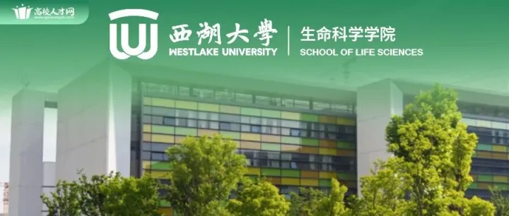 廣納英才，致遠(yuǎn)同行 | 西湖大學(xué)生命科學(xué)學(xué)院160+科研崗/行政崗誠邀加入
