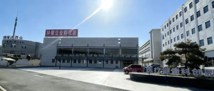 医疗大健康人狂喜！免实租办资质，种紫企业孵化器鑫算盘财务帮你‘躺平’创业！