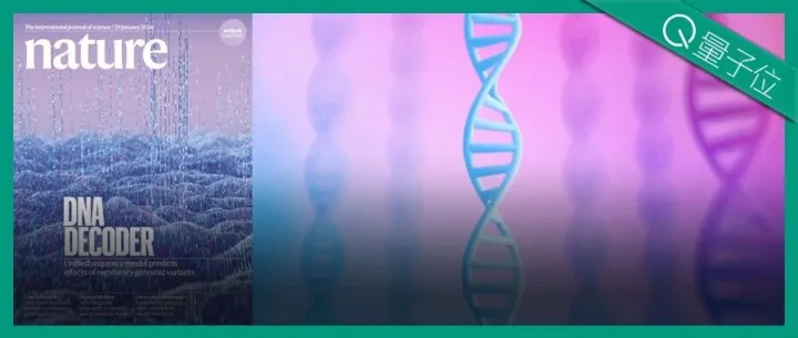 谷歌Alpha家族再登Nature封面！刷新基因组预测SOTA，精准定位远端致病突变