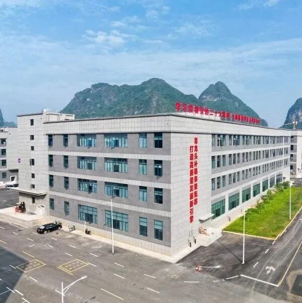 <em>崇左</em>：“大新智造”闖東盟