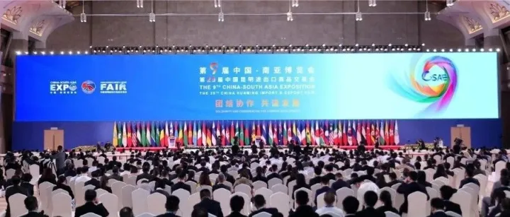 回望·深一度读南博 | 在产业的经纬间，看见南博会的“质变”