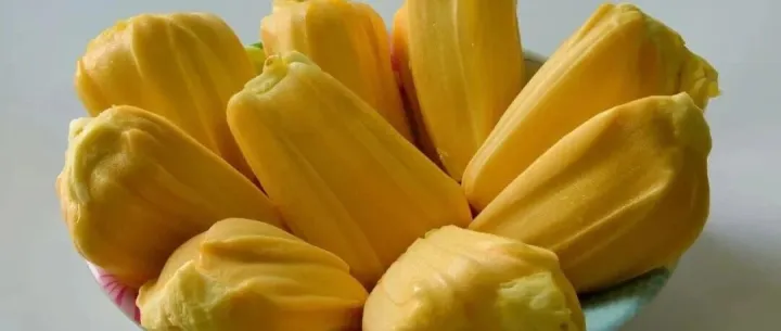 海關(guān)總署：2026年6月起，越南鮮食菠蘿蜜獲準入華