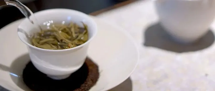 普洱茶市革新者，當(dāng)代茶人的必修課。