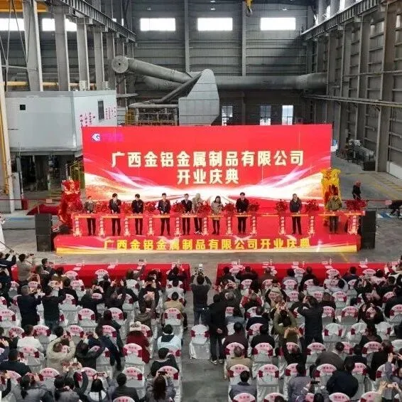 來賓：金鋁公司高端鋁合金項(xiàng)目正式投產(chǎn)，串珠成鏈集聚泛鋁制造集群