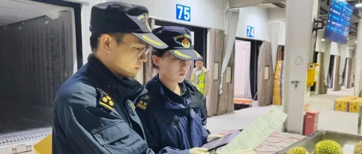 廣西公路口岸首票馬來西亞進口鮮食榴蓮順利過境友誼關(guān)口岸