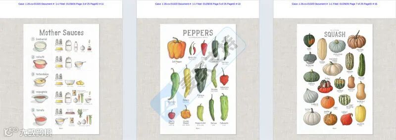 6-cv-01020，食物插画变TRO侵权炸弹！200店被Keith律所盯上，你的链接还安全吗？"