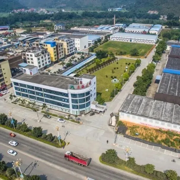 <em>河池</em>高新区的产业迭代与振翅高飞