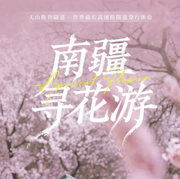 春季赏花！【南疆寻花8日】2-6人团 乌尉高速 温宿大峡谷 博斯腾湖环湖公路 木吉火山口 莎车古城