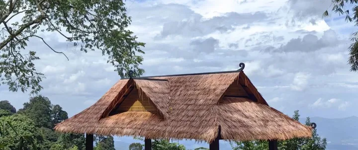 云茶秘境釘耙山：普洱茶界的“獨(dú)行者”