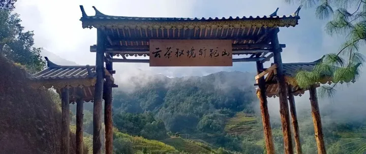 釘耙山普洱茶產(chǎn)品