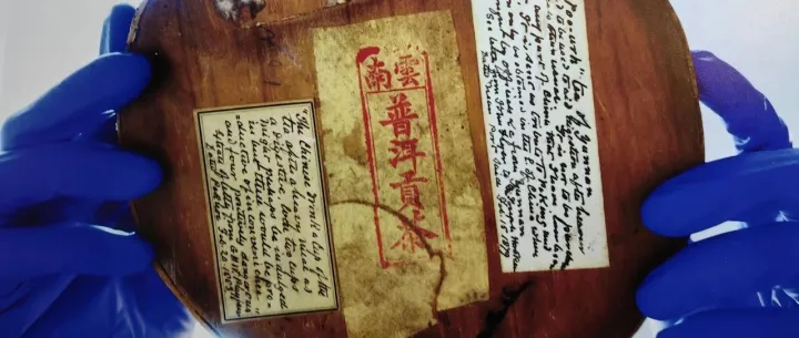 什么是普洱茶？