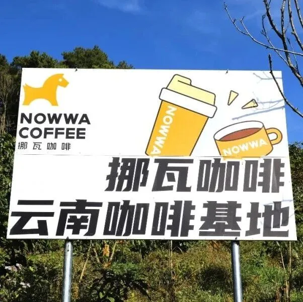 挪瓦咖啡，拿下餐饮年度最大融资