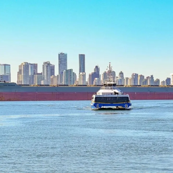 20年外貿(mào)經(jīng)驗：重慶進口美巖板代理透明價格清單來了