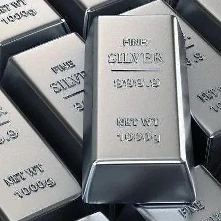 <em>白銀</em>基金，暫停申購