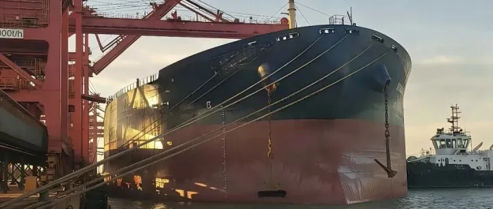 錨定國家戰(zhàn)略，保障資源安全 | 日照外代圓滿完成西芒杜鐵礦首船任務(wù)