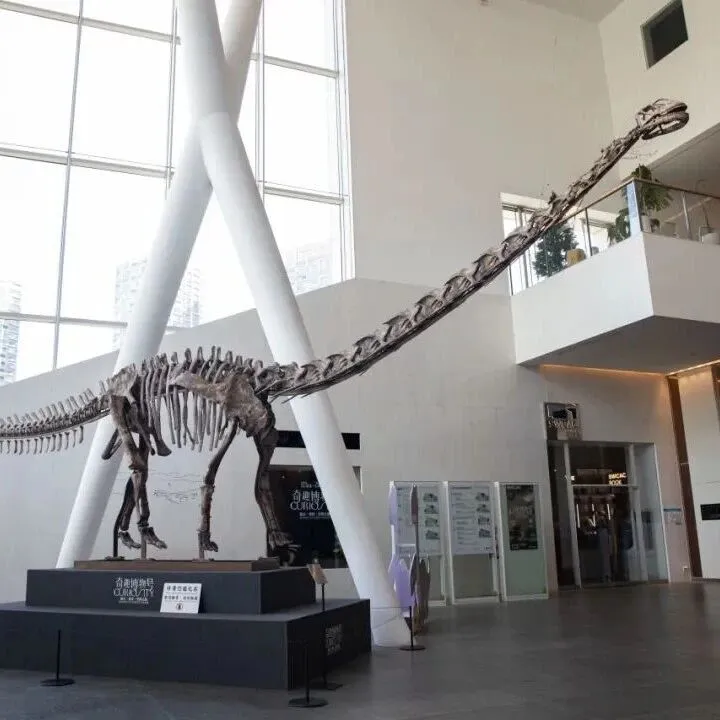 前海看展，奇石记带你速通世界文明第一站