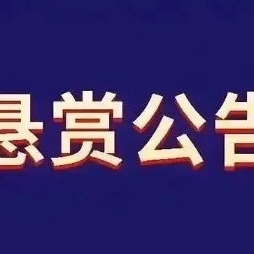 【舉報有獎】冷水江法院2025年執(zhí)行懸賞公告第4期