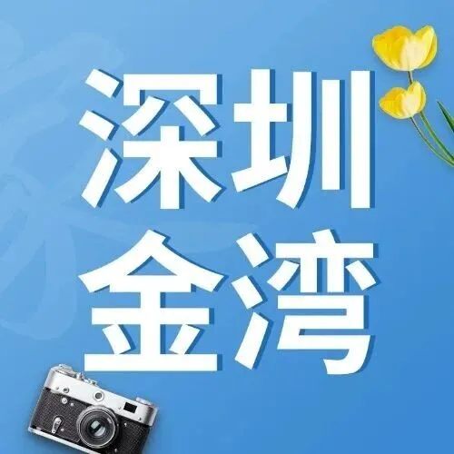 深圳-珠<em>海西</em>區(qū)58塊！羅湖/福田/南山/寶安