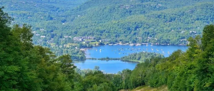 新視野廣告2210期