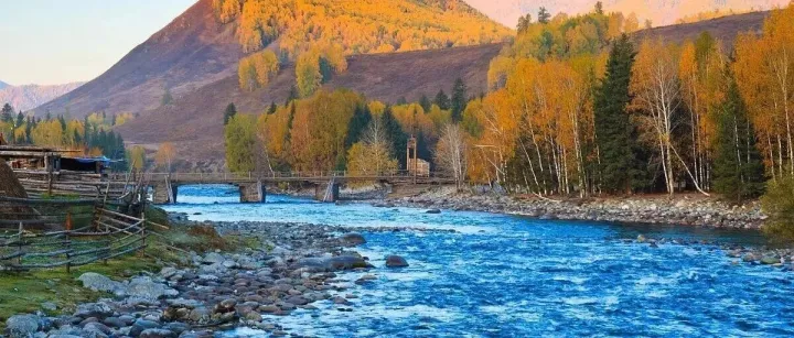 新視野2209期廣告