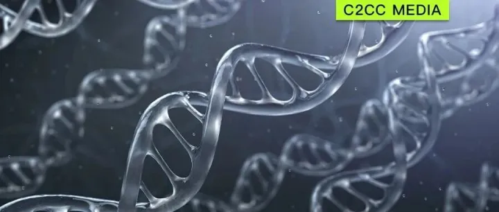 大牌们都在卷的基因技术 撬动5000亿个性定制化妆品市场？