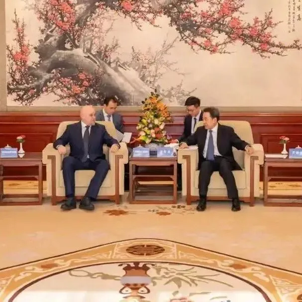 国家能源局主要负责人会见俄罗斯能源部部长