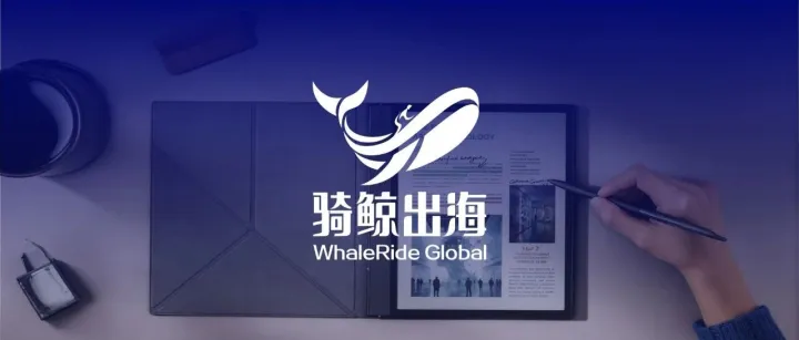 做到世界第一的“中国版Kindle”，IPO反而更难了