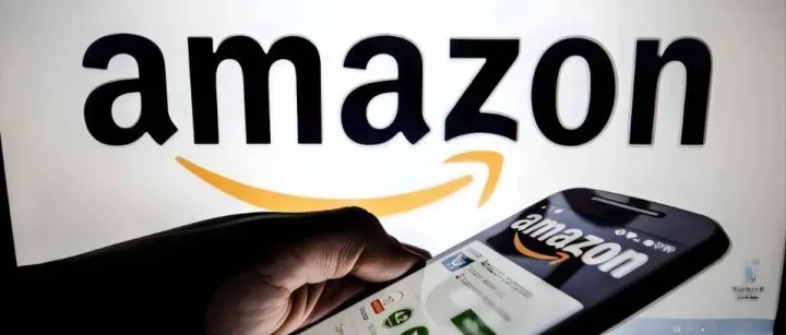 深圳亚马逊运营被抓判刑3年？华南一跨境公司被曝：离职员工引发近50万亏损！