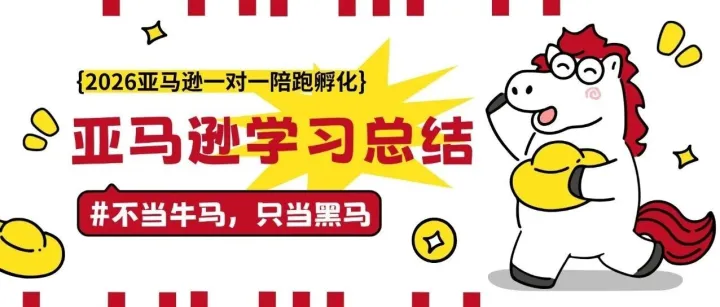 亚马逊一对一陪跑学生学习总结