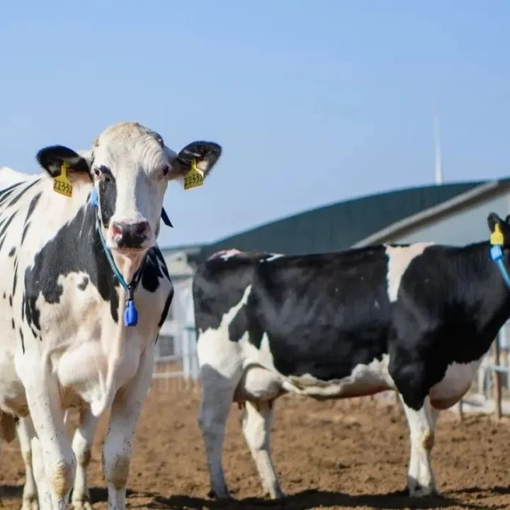 内蒙古：迎来首个千亿供金平台！