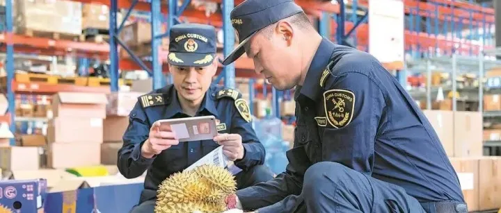 AI抓取的近期企業(yè)海關違規(guī)的案例，可以對進出口現狀有基本的了解