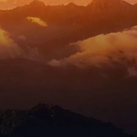 告别无效投放！药企短视频全案服务来了