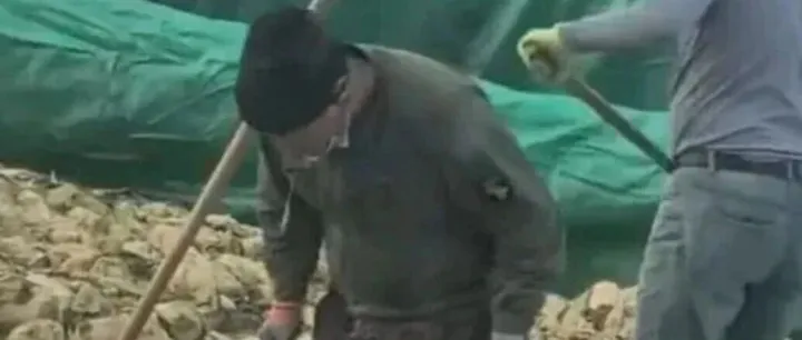 工人在酸菜池中抽煙吐痰，處罰結(jié)果來了