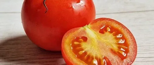 “爆米花味”的西红柿要来了？