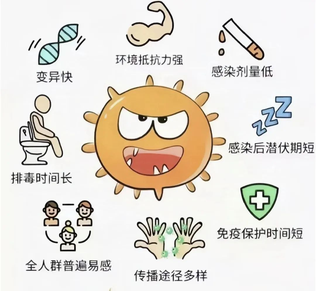 “预防诺如病毒,呵护儿童健康”——新明珠幼儿园预防诺如病毒知识宣传- 大数跨境