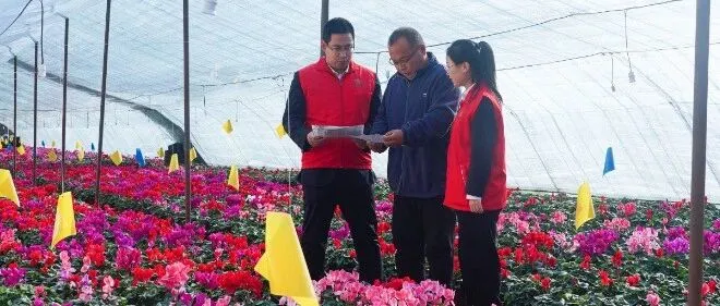 堅(jiān)守定位謀發(fā)展，實(shí)干開(kāi)局啟新程——全省農(nóng)商銀行深入貫徹2026年工作會(huì)精神