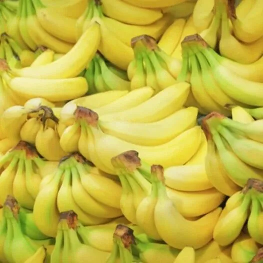 菲2025年香蕉出口量增长26%，重夺世界第二大香蕉出口国地位