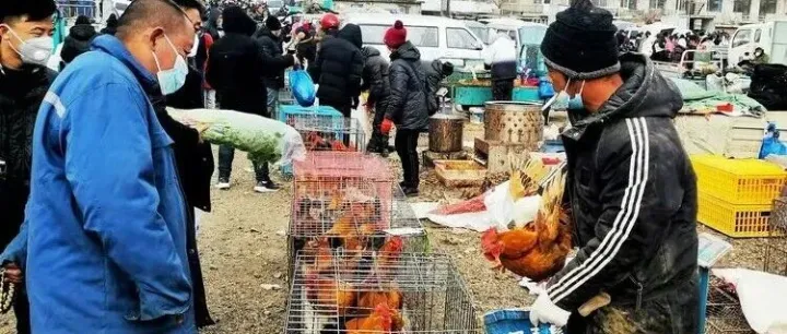 年关赶大集第五集！凌源市开集日历